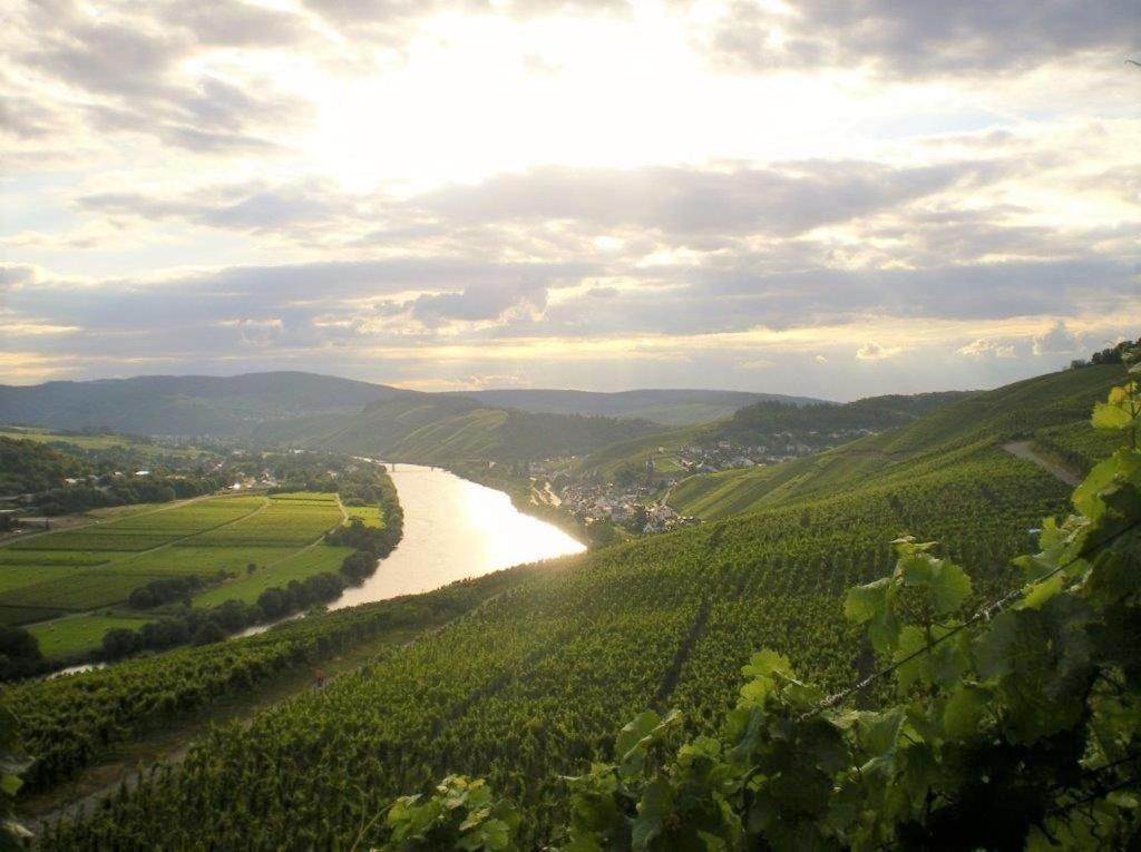 Ferienwohnungen "Moselblick" Lieser Zewnętrze zdjęcie